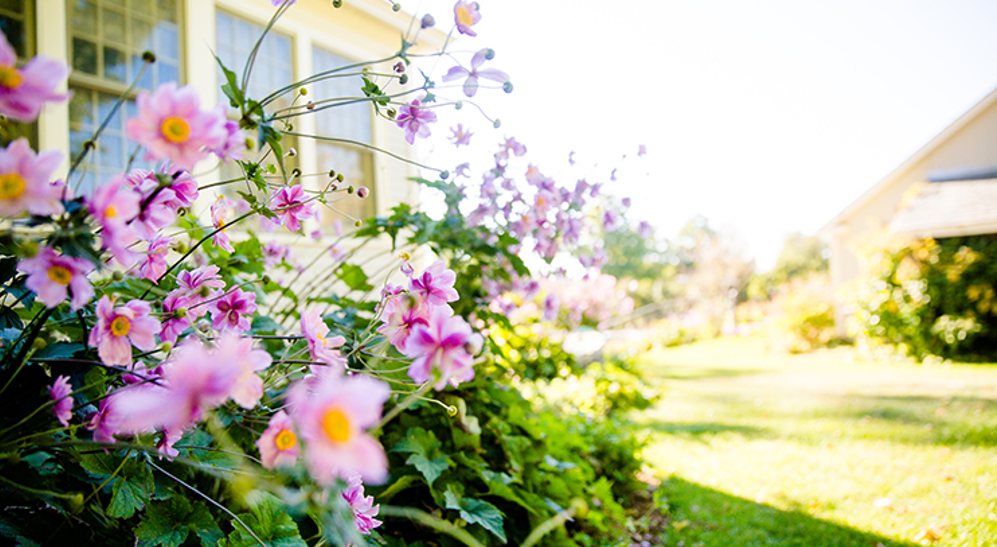 Homebuyer Activity Shows Signs of Warming Up for Spring 