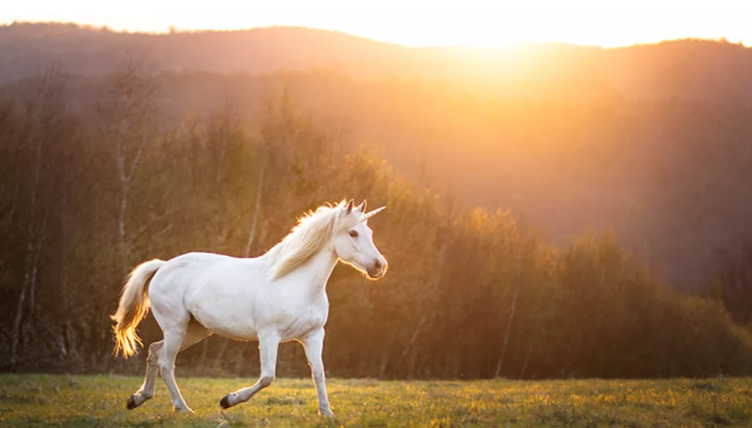 Today’s Real Estate Market: The ‘Unicorns’ Have Galloped Off